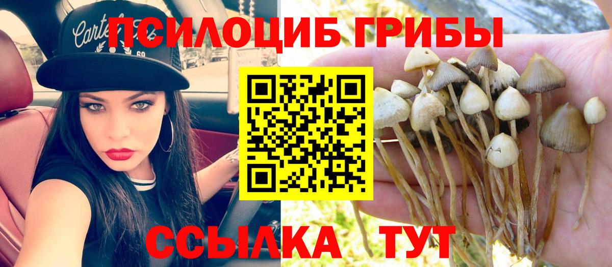 Псилоцибиновые грибы мухоморы  Вход с VPN  Коркино  Псилоцибиновые грибы MAGIC MUSHROOMS 
